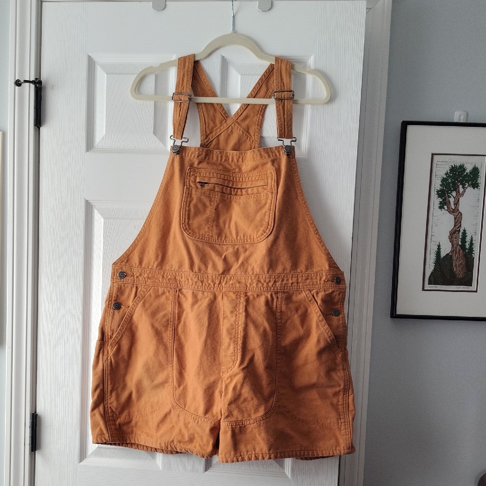 Patagonia Stand-Up Overalls Shorts XL